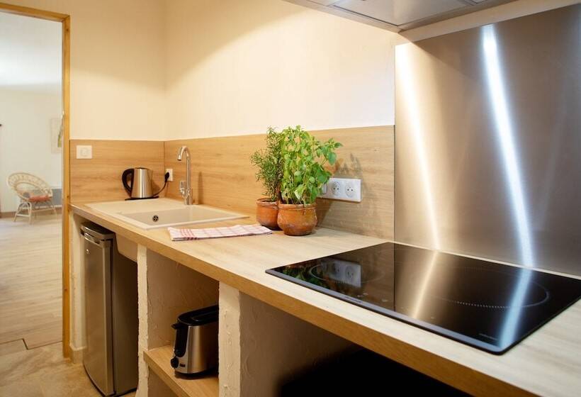 ペンション L Hote Antique   Maison D Hote  4 Suites Avec Cuisine