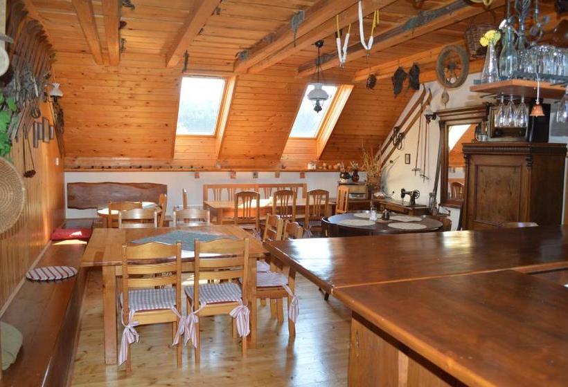 膳宿费 Penzion 409