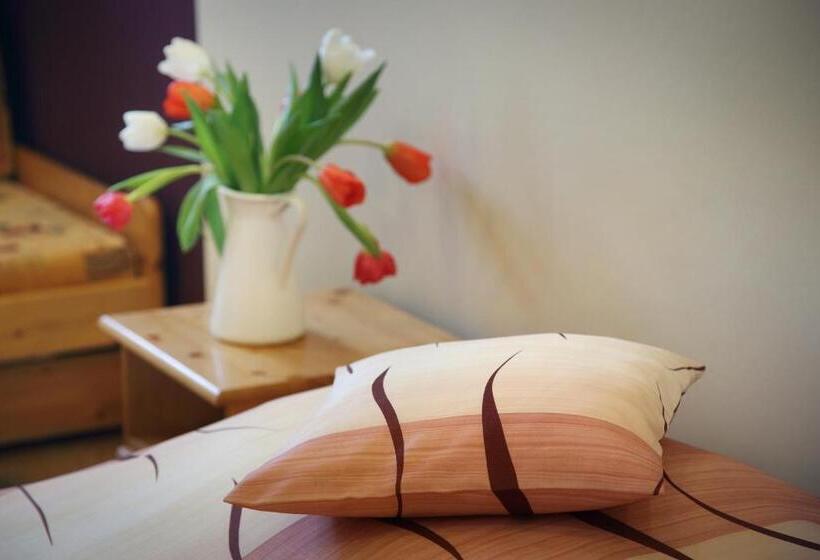 پانسیون Penzion Martina