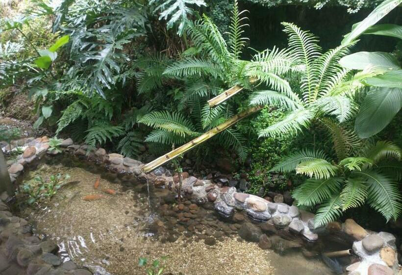 ペンション Sitio Esperanca