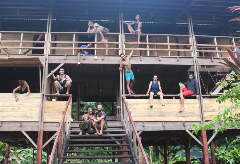 بنسيون The Pelican House Hostel