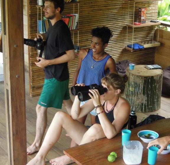 بنسيون The Pelican House Hostel