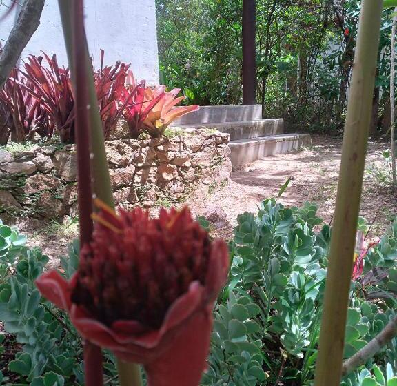 旅馆 Pousada Do Pequi