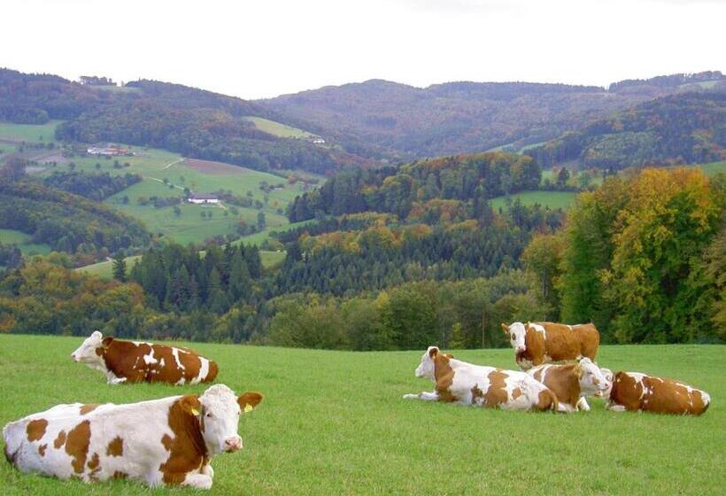 ホテル Gölsenhof   Fam. Büchinger
