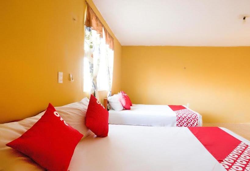 فندق Oyo  San Sebastian Tenabo
