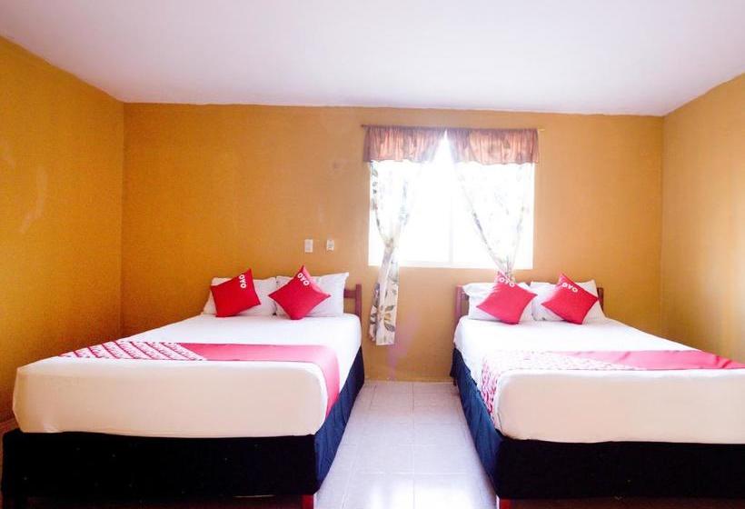 فندق Oyo  San Sebastian Tenabo