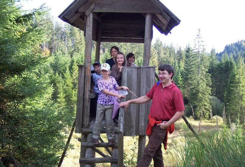 بنسيون Angerhof