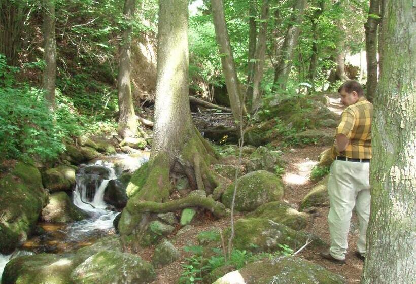 بنسيون Angerhof