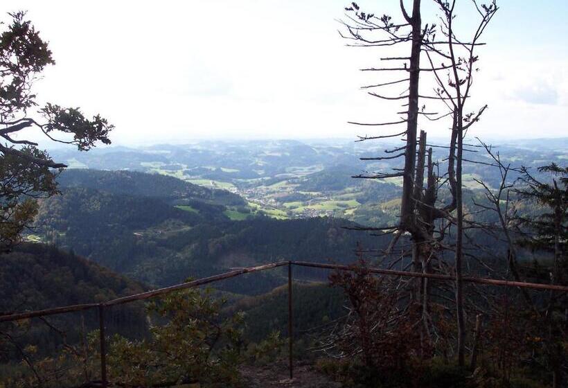 بنسيون Angerhof