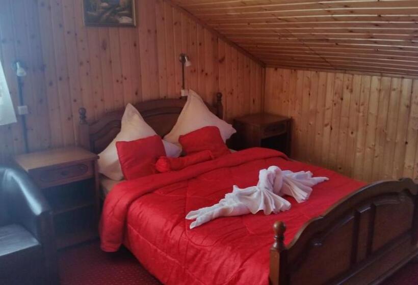 Pensiunea Dracula & Spa