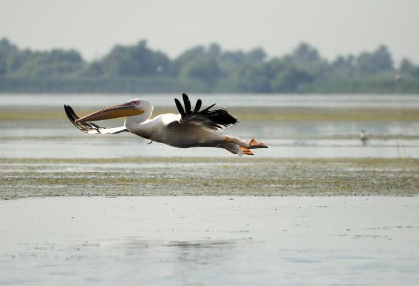 بنسيون Vila Delta Travel Mila 23