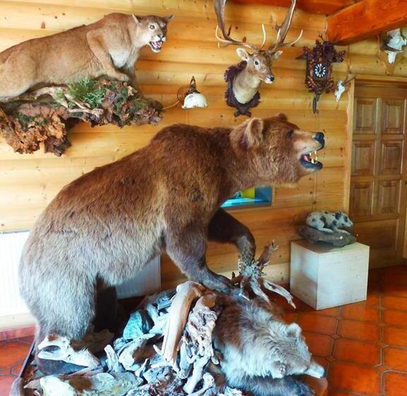 Pension Grizzly