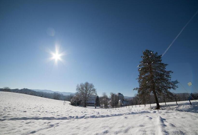 호스텔 Gasthof Mauthner Zum Kirchenwirt
