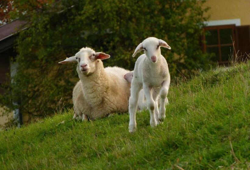 ユースホステル Landgasthof Entenwirt Tarsdorf