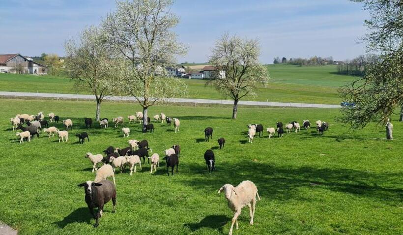 ユースホステル Landgasthof Entenwirt Tarsdorf