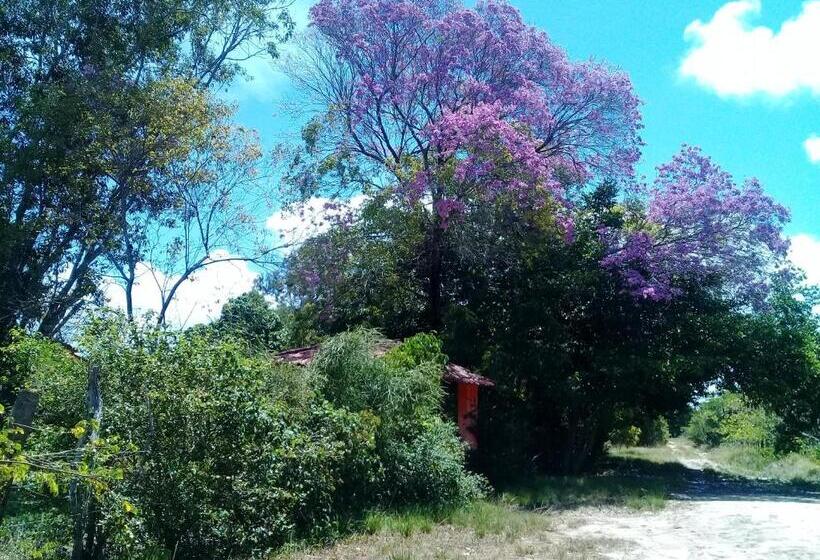 ユースホステル Sitio Da Calma