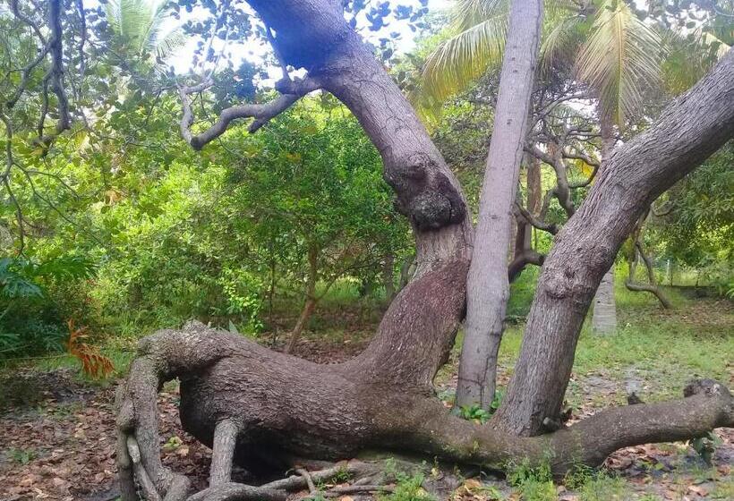 ユースホステル Sitio Da Calma