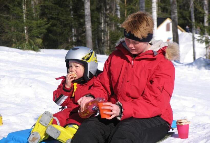 فندق صغير Valfjället Ski Center