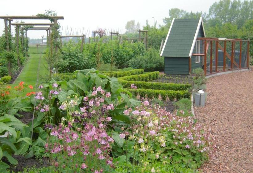 B&b Zomersbuiten