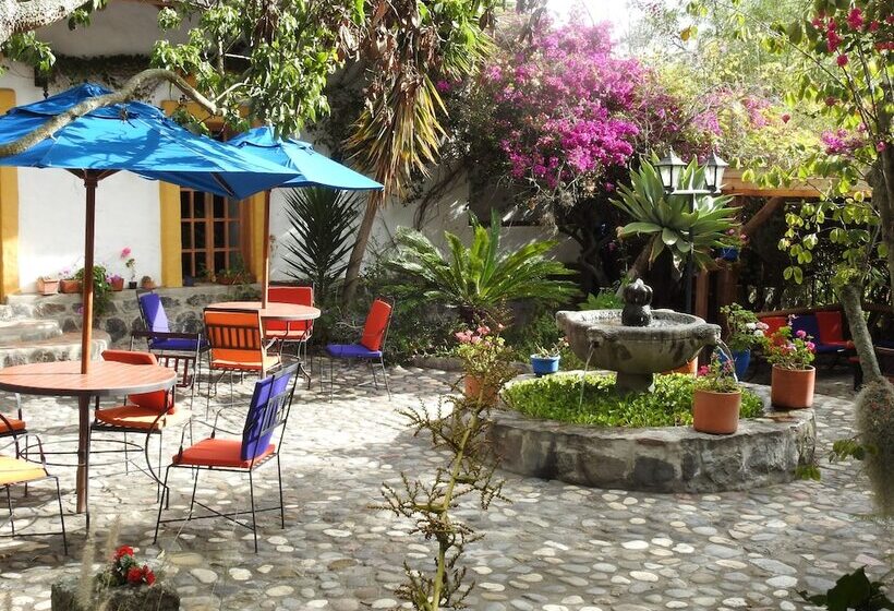 בית מלון כפרי Hosteria Museart Pantavi