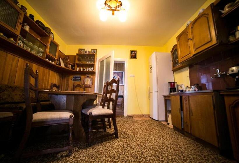 בית מלון כפרי Pensiunea Casa Stefanel