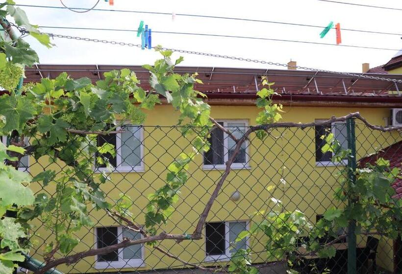 בית מלון כפרי U Nádraží Lanžhot