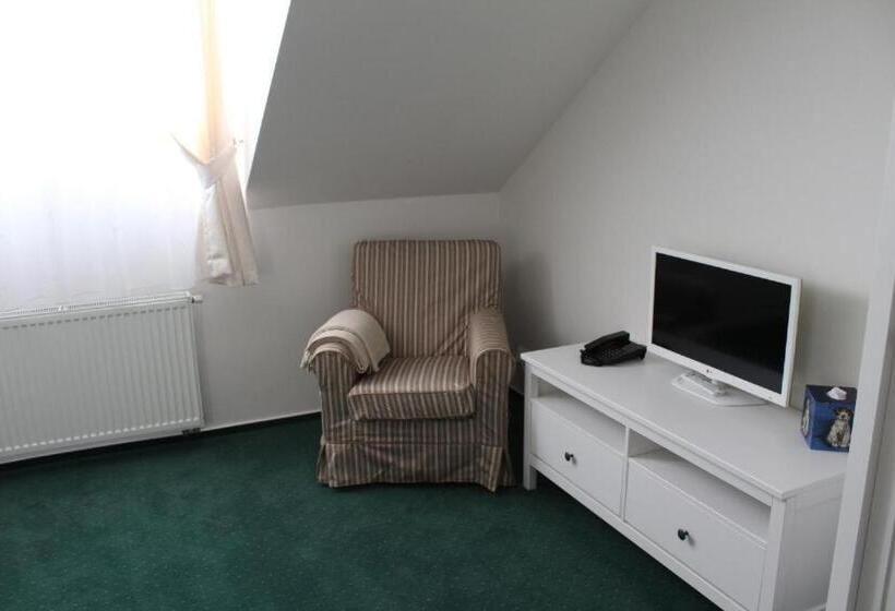 בית מלון כפרי U Parku