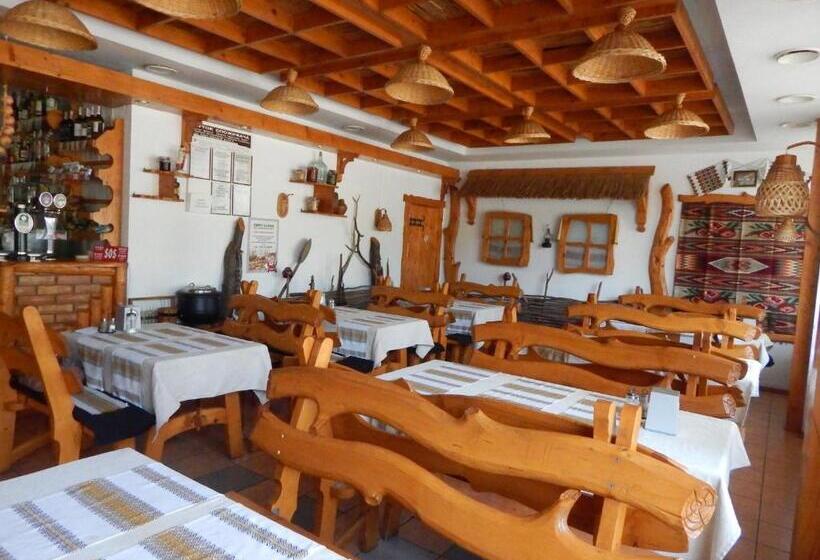 מוטל Karpaty Viking