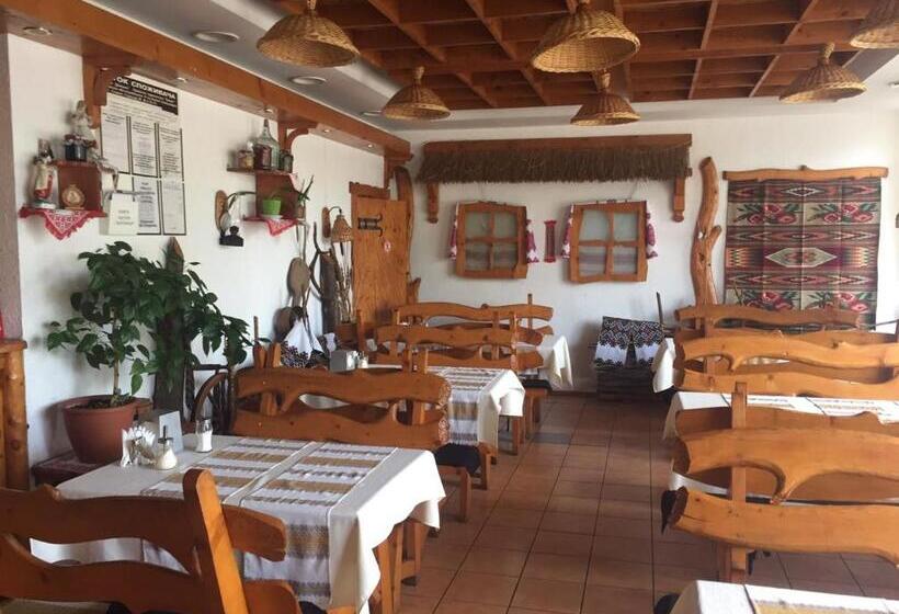 מוטל Karpaty Viking