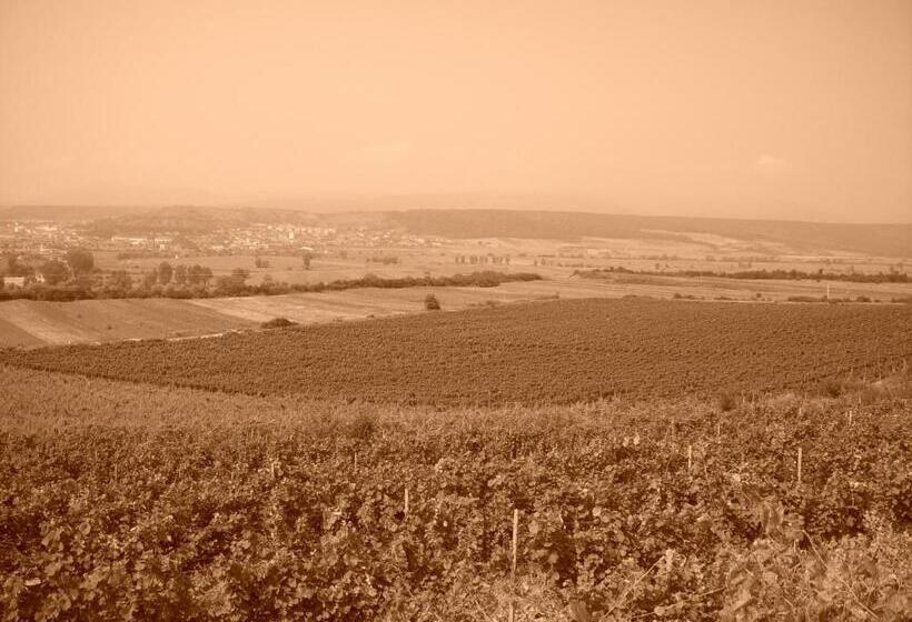 פנסיון Casa Domeniile Vinului