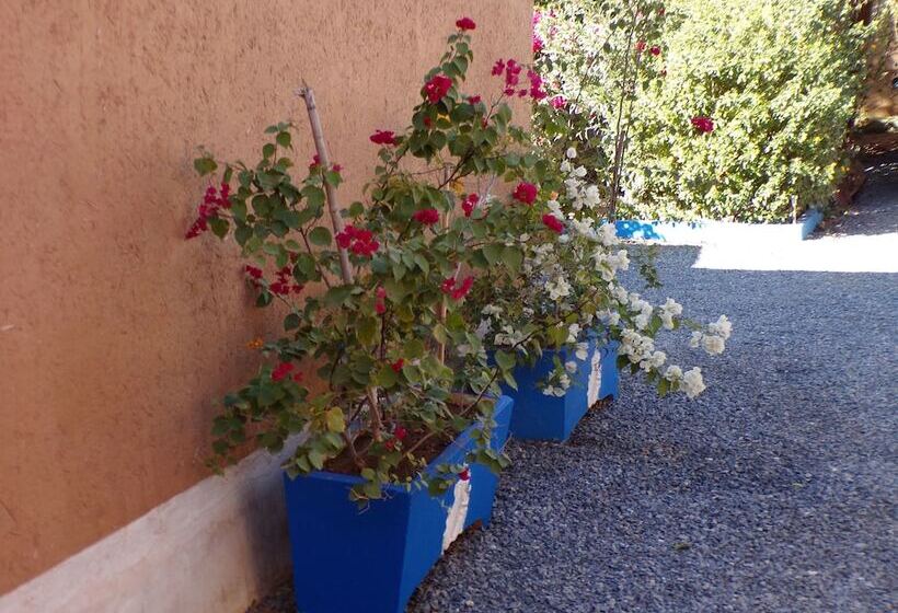 پانسیون La Maison De L Homme Bleu