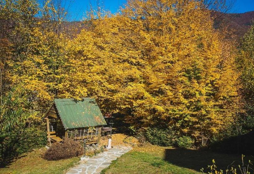 ペンション Sadyba Ertash