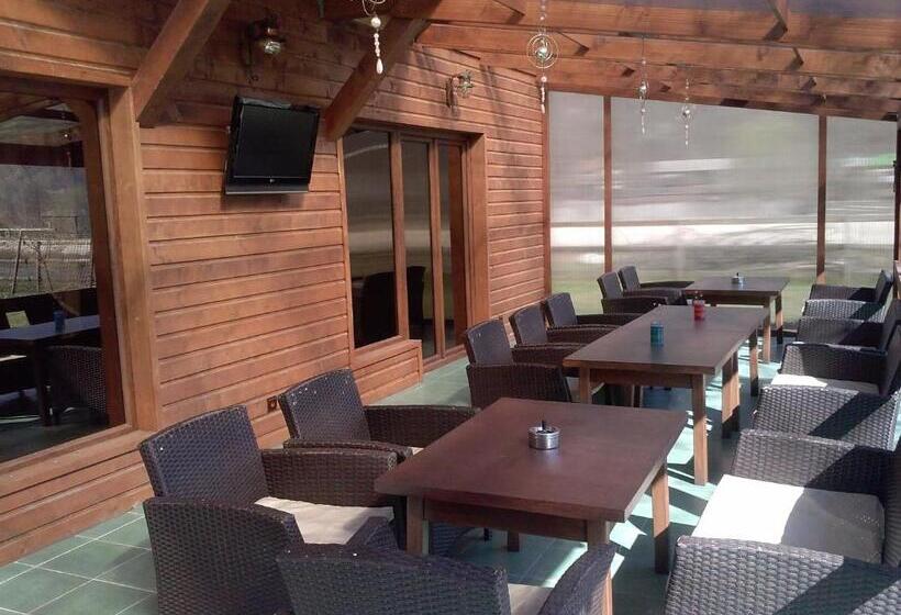 Pension Terra Nova