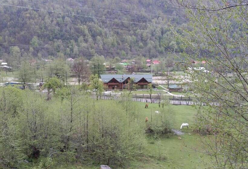 Pension Terra Nova