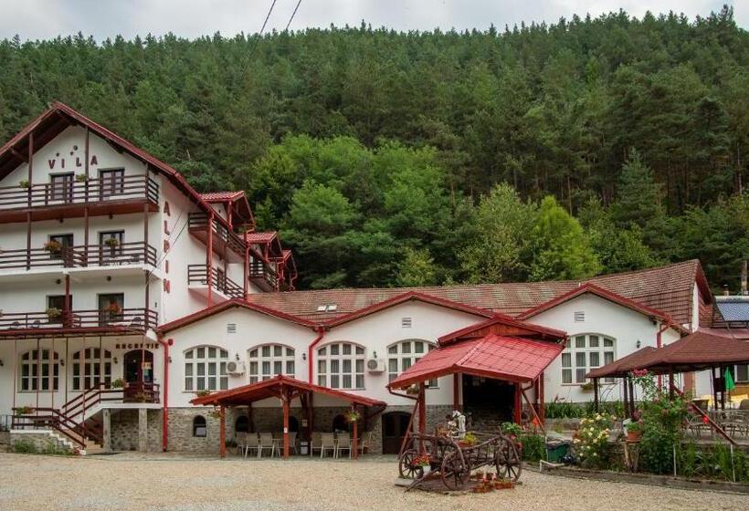 Pensiunea Alpin