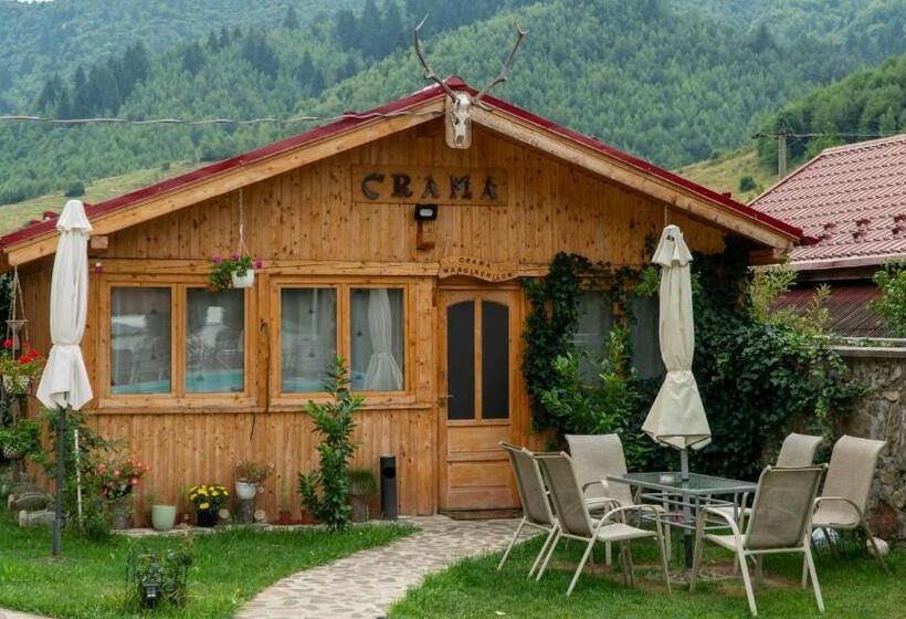 Pensiunea Alpin