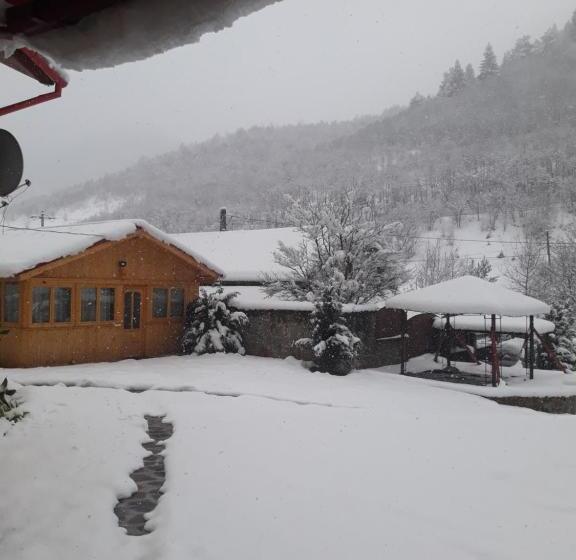 Pensiunea Alpin