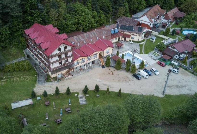 Pensiunea Alpin