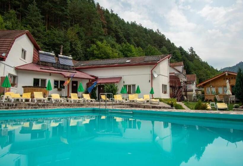 Pensiunea Alpin