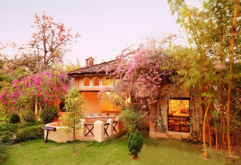 Tuli Tiger Resort