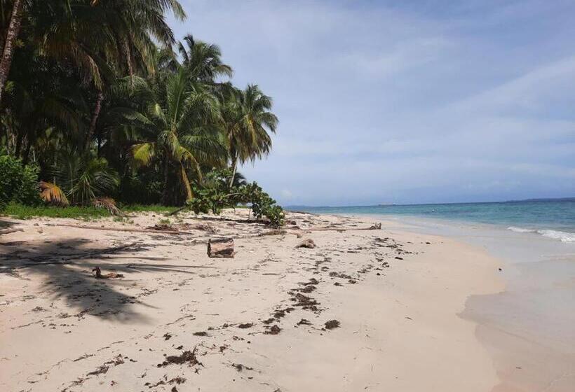 ユースホステル Casa Acuario Boutique