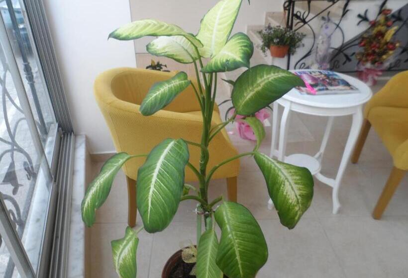 مبيت وإفطار Zen Inn Boutique