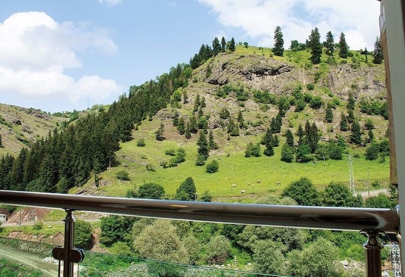 هتل Green Valley Savsat