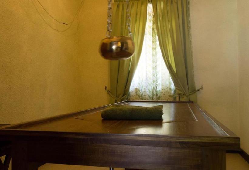 Отель Resort Like No Other