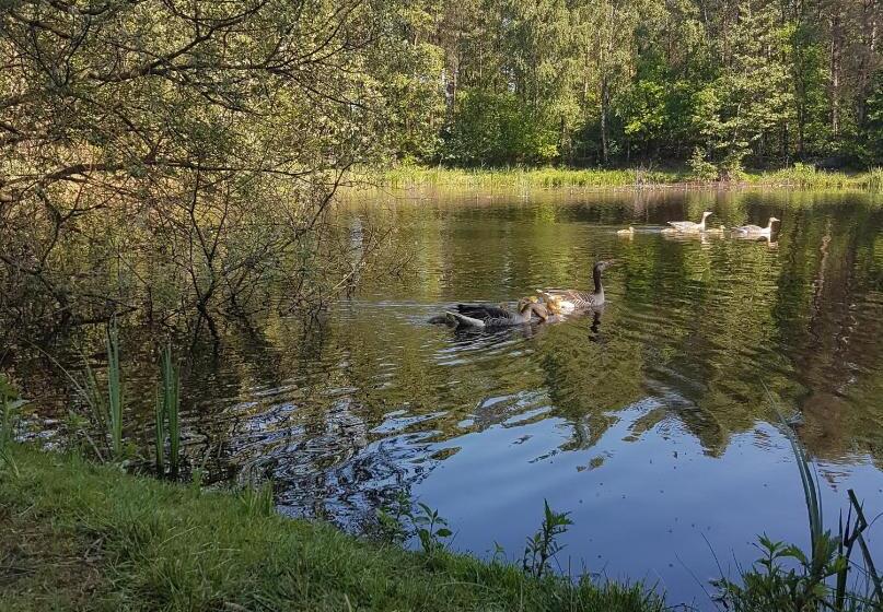 호텔 Vakantiepark Camping De Peelpoort