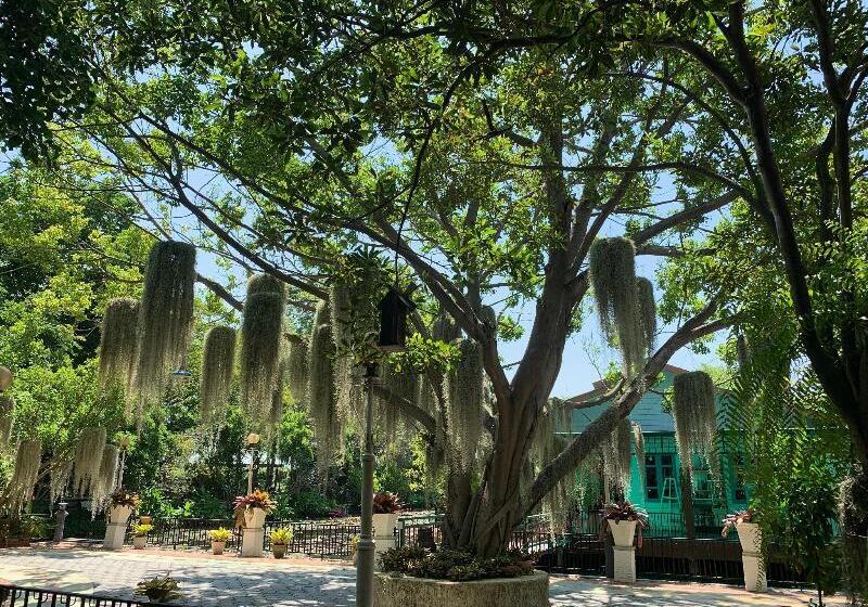 Muaan Resort