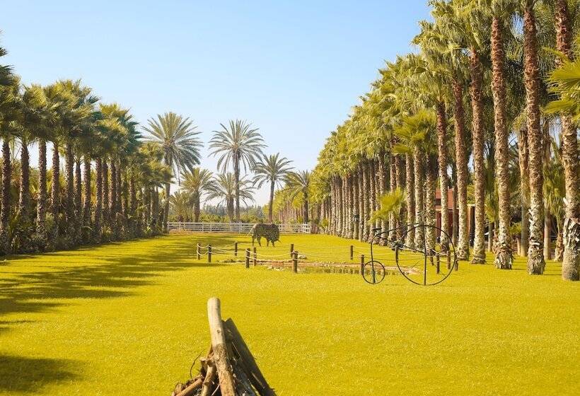 Пансион Le Domaine Limoune