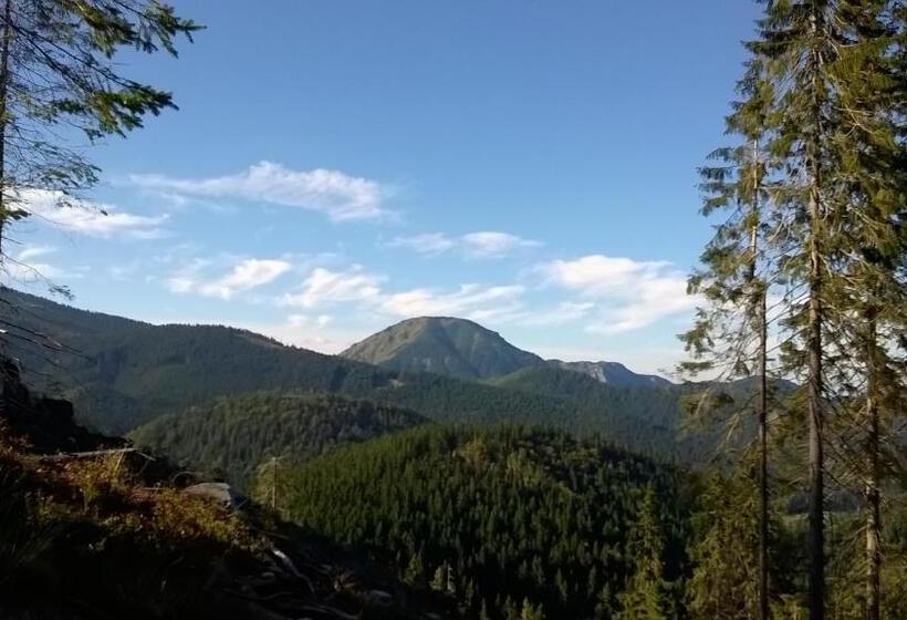 膳宿费 Penzión Baltazár