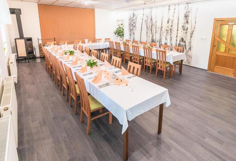 膳宿费 Penzion V údolí