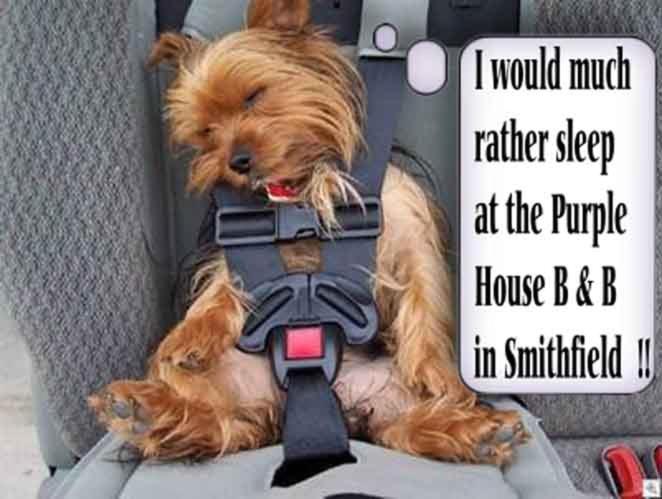 ペンション Purple House B&b Smithfield